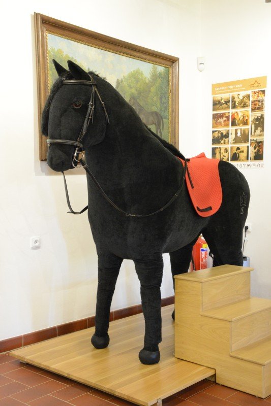 Švýcárna - interaktivní muzeum starokladrubského koně