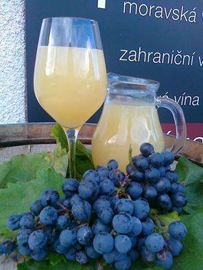 Vinotéka Tetín - Víno Hruška