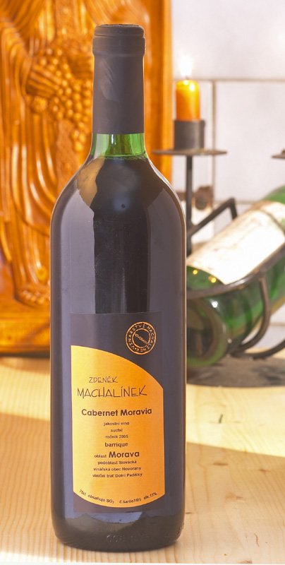 Rodinné vinařství Machalínek - penzion