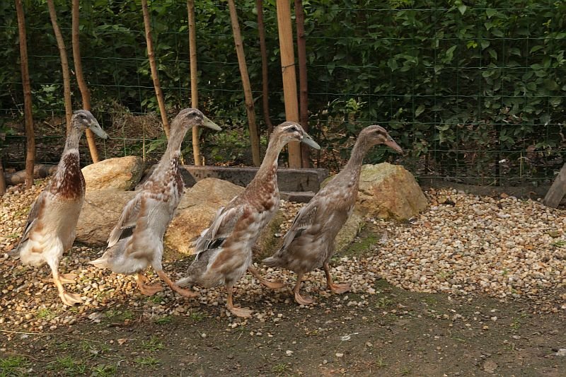 EKOPark s ubytováním****