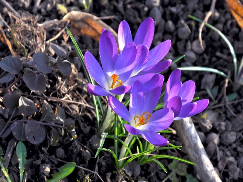 Moravské kartografické centrum - muzeum