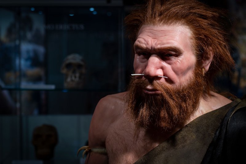 Městské kulturní a informační středisko v Humpolci