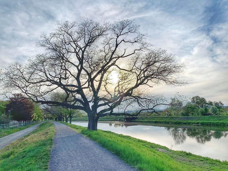 Městské informační centrum Uherské Hradiště