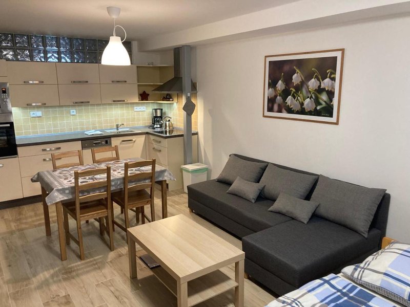 Šedivinské apartmány