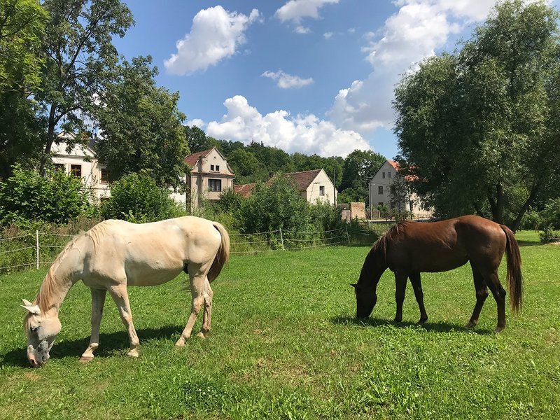 Clearpoint - ubytování