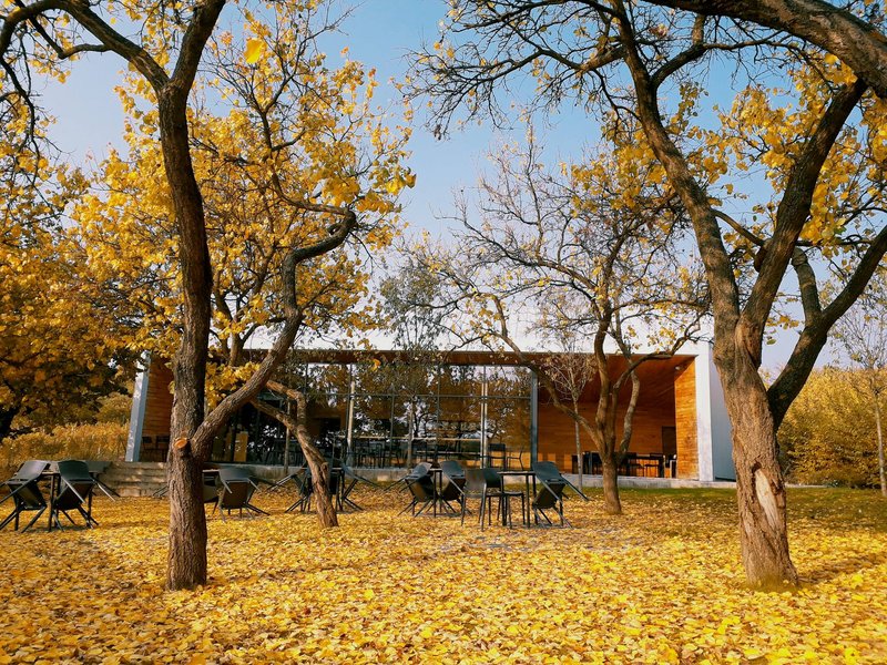 Vinařství Starý vrch