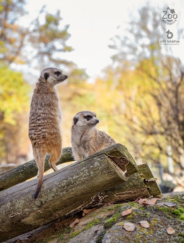 Zoopark Na Hrádečku