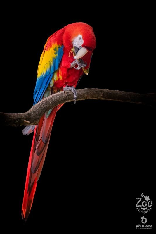 Zoopark Na Hrádečku