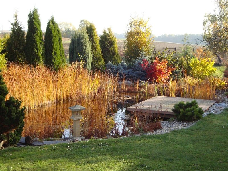 Cyklobar a penzion 100dola - ubytování