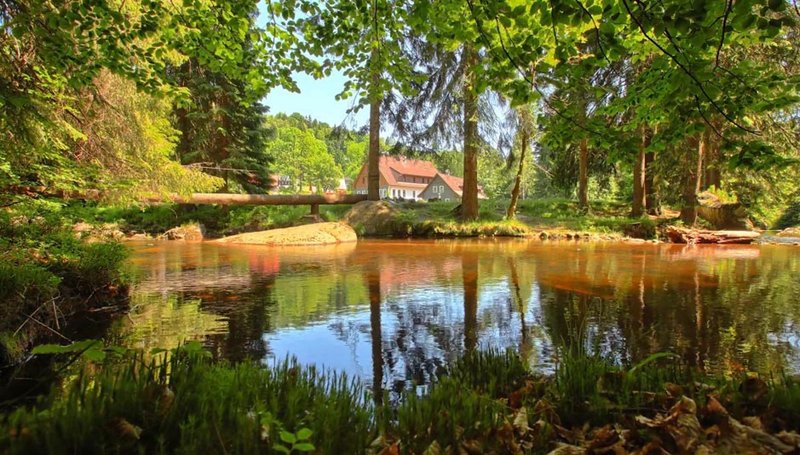 Hotel Perla Jizery***