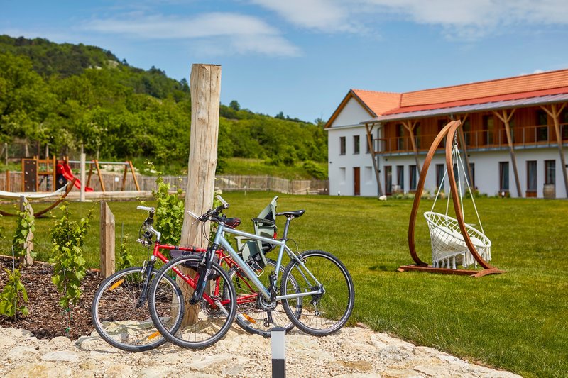 Hotel Ryzlink - restaurace