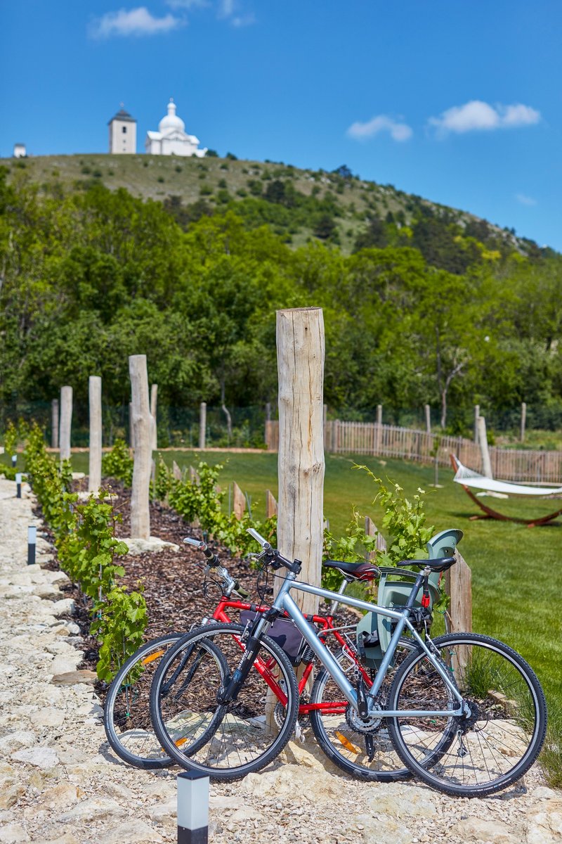 Hotel Ryzlink - restaurace