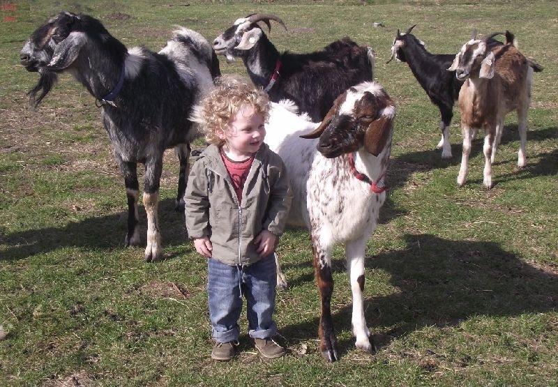 Jáňův dvůr - kemp