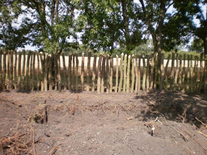 Muzeum Keltů v Dobšicích