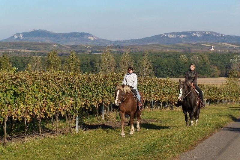 Jáňův dvůr - penzion