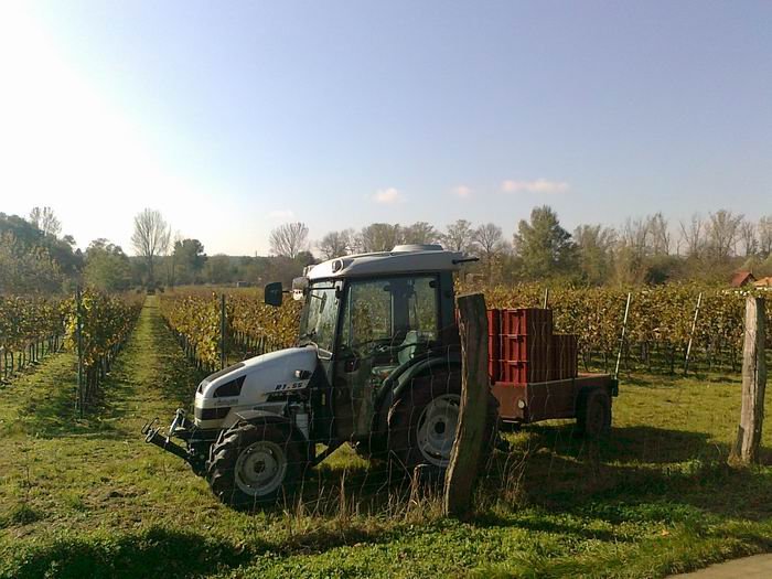 Rodinné vinařství Bartoníkovi