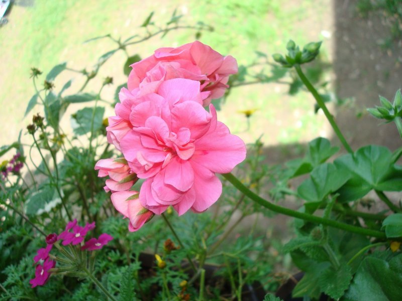 Restaurace Šeberák a volnočasový areál